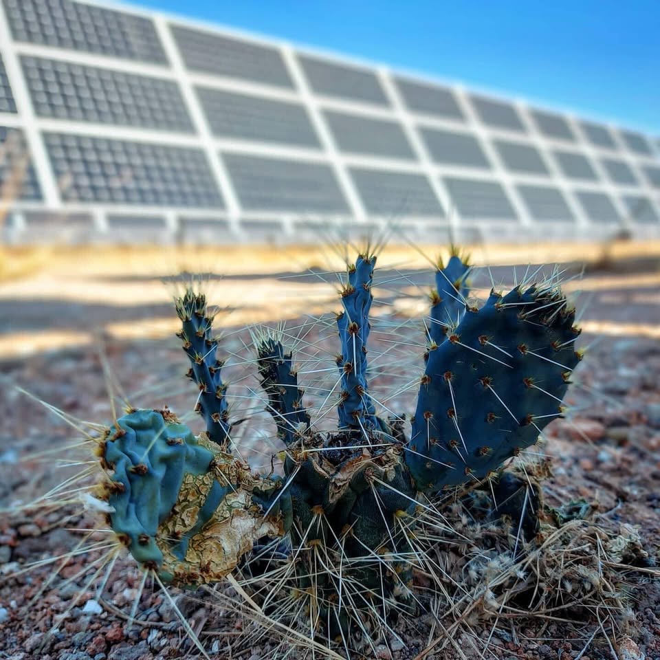 Funcionamiento Panel Solar